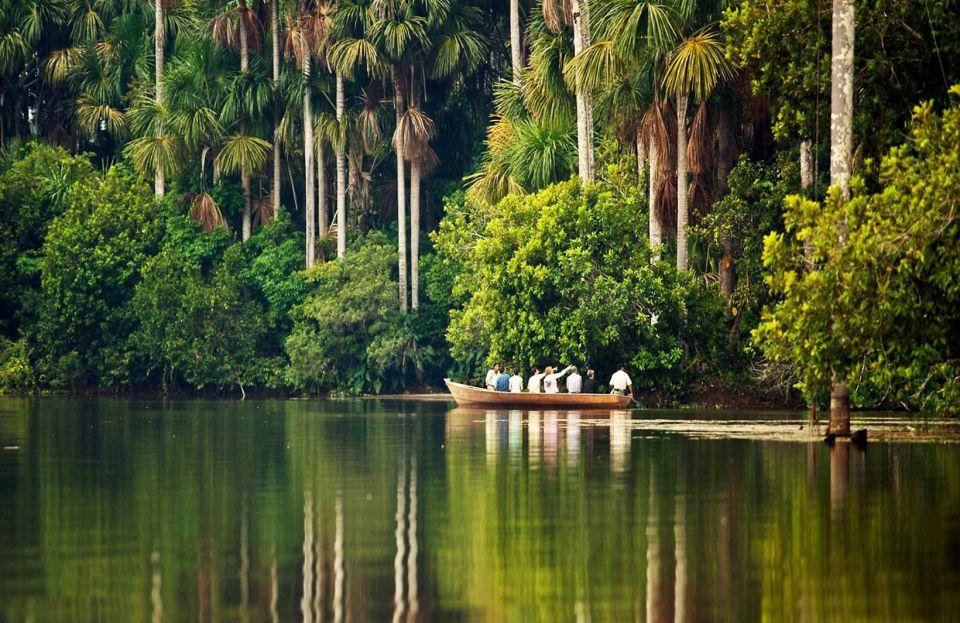 Tambopata National Reserve With Fauna Observation 4 Days - Detailed Itinerary
