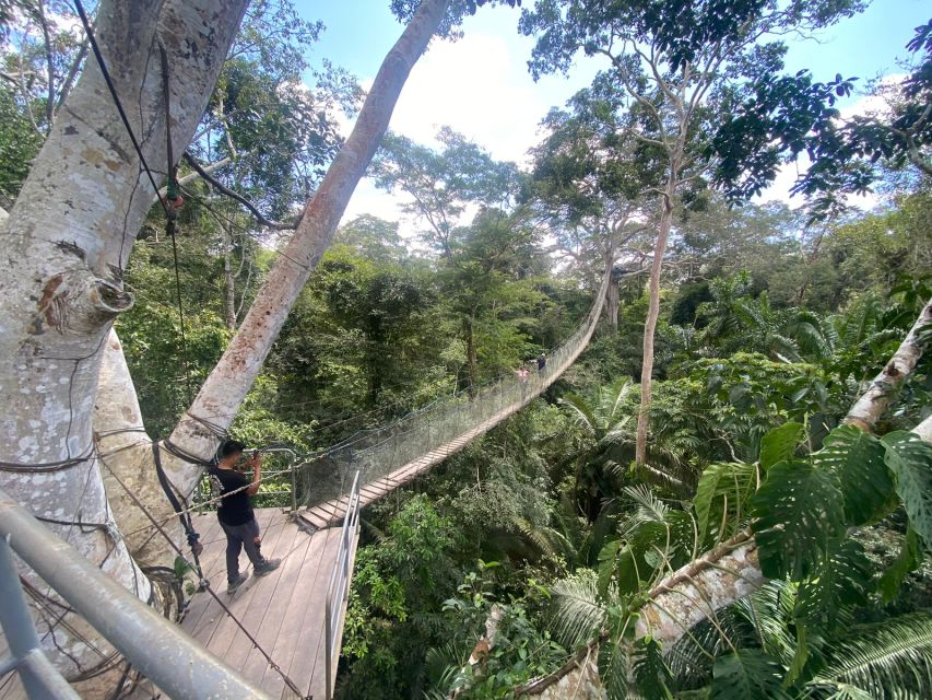Tambopata: Zipline Adventure & Kayak to Monkey Island - Experience Highlights