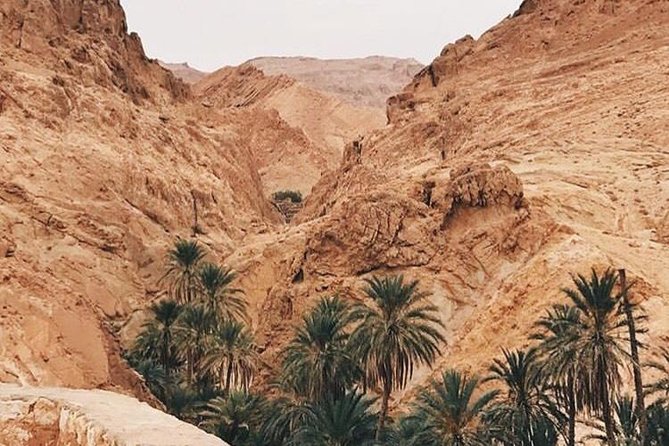 Tamerza Canyon Oasis Tour - Experience Expectations