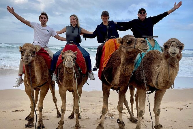 Tangier Full Day Private Tour Including a Camel Ride on the Beach - Itinerary Highlights