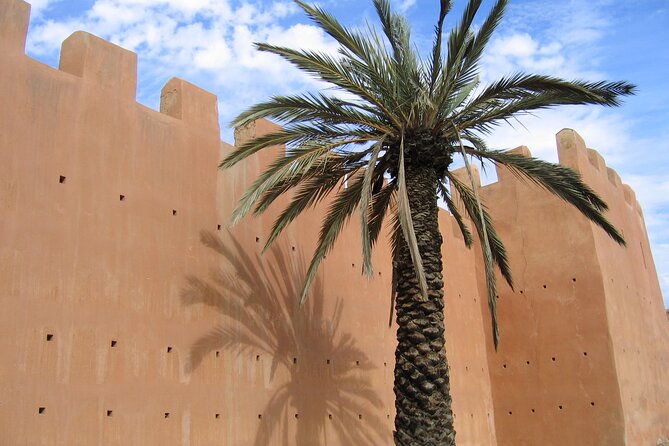 Taroudant and Tiout Day Trip From Agadir With Lunch - Traveler Reviews and Ratings