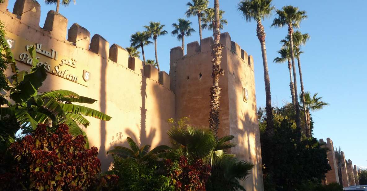 Taroudant and Tiout Oasis Trip With Lunch - Experience Highlights