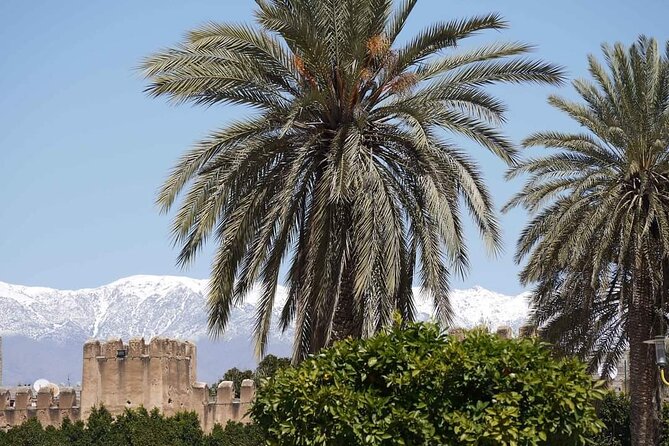 Taroudant The Old Fortified City Private Half Day - Exclusions