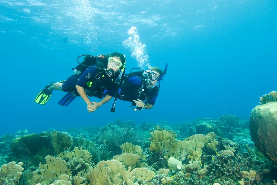 Tayrona National Park: Scuba Diving Tour for Beginners - Customer Reviews