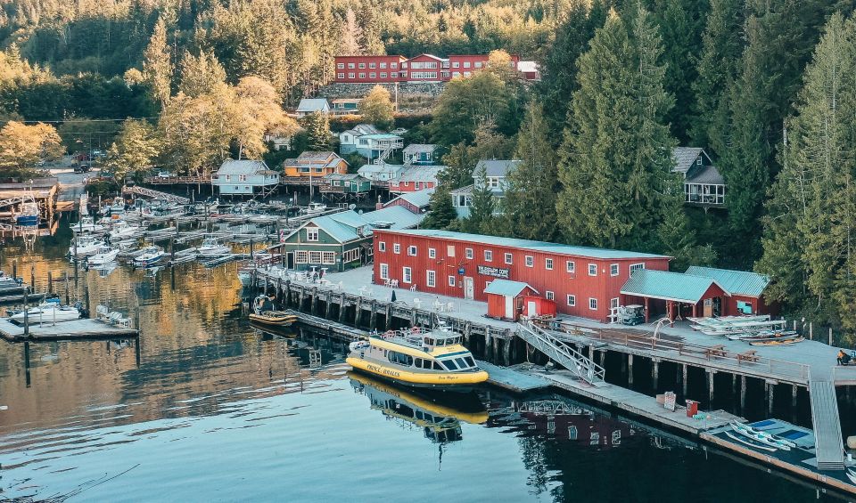 Telegraph Cove: 2 Hour Evening Kayak Tour - Experience With Seasoned Guides