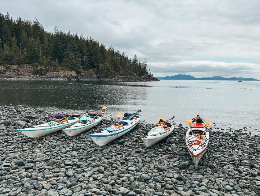 Telegraph Cove: Day Trip Kayaking Tour - Experience Highlights