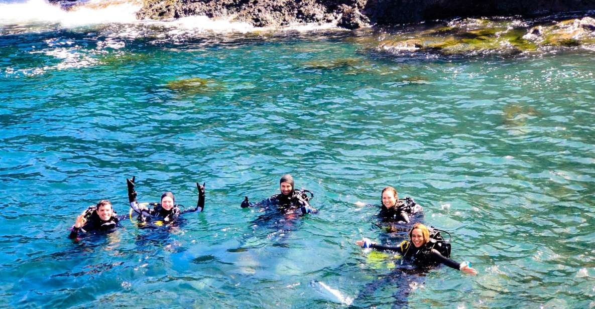 Tenerife: 2-Dive Private Scuba Discovery Course - Experience Highlights