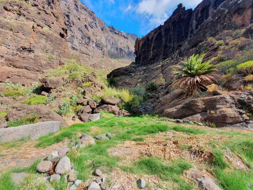 Tenerife : Masca Ravine Breathtaking Hiking Adventure - Experience Highlights