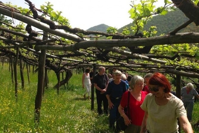 Tenuta San Francesco Wine Tasting - Reservation and Booking Process