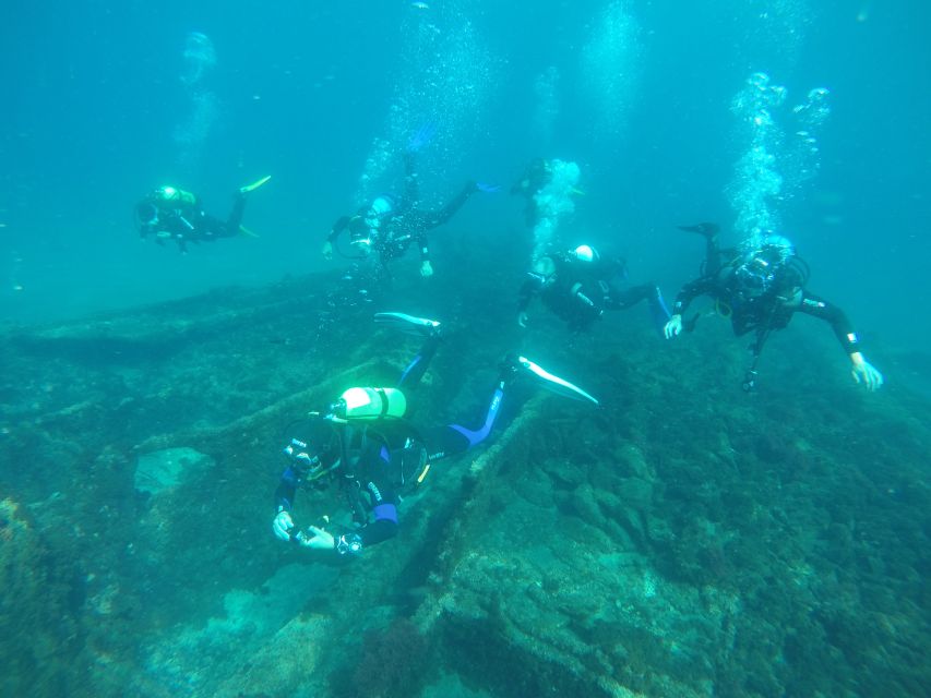 Terceira: Angra Do Heroísmo Scuba Diving Tour With 2 Dives - Experience Highlights