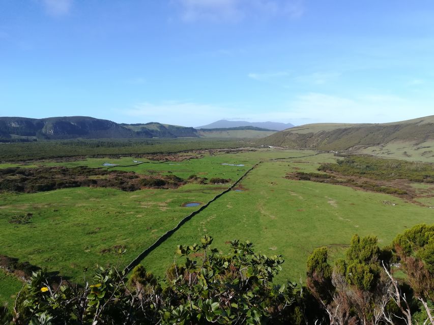 Terceira: Island Trails Scenic Hiking Tour With Transfer - Experience Highlights