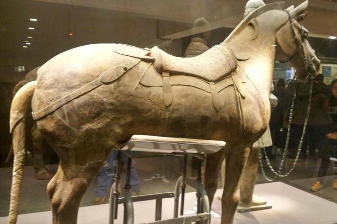 Terracotta Warriors Museum Tour With Airport Pickup or Drop-Off Transfer - Logistics and Transportation Options