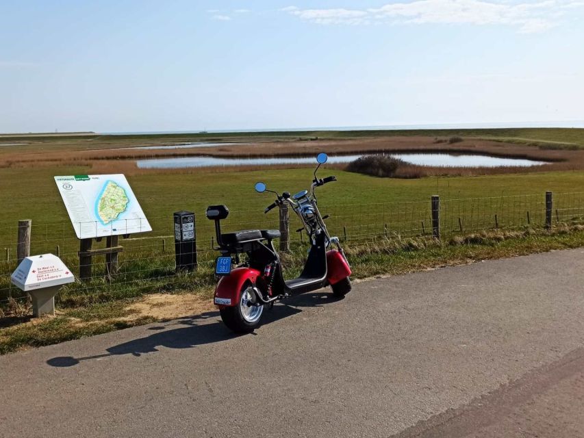 Texel: E-Scooter Rental - Texel Cruiser Experience