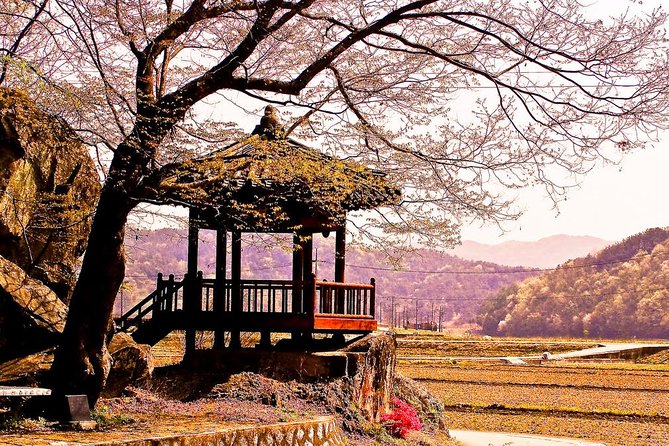 The Beauty of the Korea Cherry Blossom Discover 9days 8nights - Accommodation Details