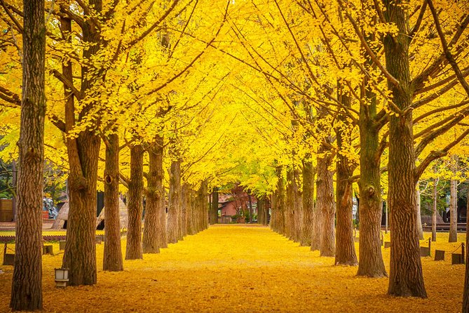 The Beauty of the Korea Fall Foliage Discover 11days 10nights - Accommodation and Meals Included