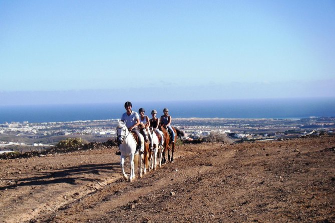 The Best Horse Riding Experience in Gran Canaria (1 Hour) - Traveler Experience