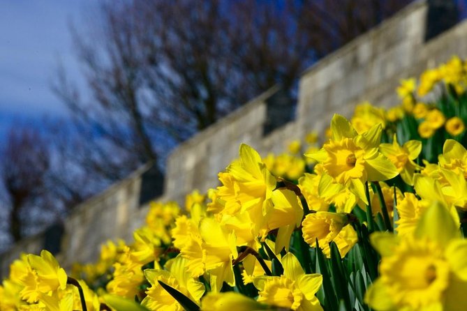 The Best of York on Foot in a Small Group - Landmarks and Must-See Sites