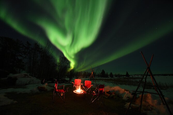 The Greatest Valuable Aurora Manor & Hunting Tour --Exclusive Tour Operator - Exclusive Experience