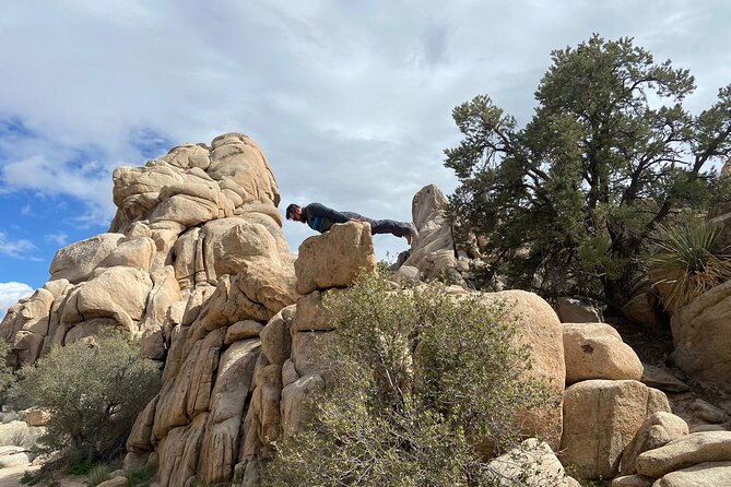 The Joshua Tree Adventurer Hidden Valley Scavenger Hunt  - Palm Springs - Logistics and Meeting Point