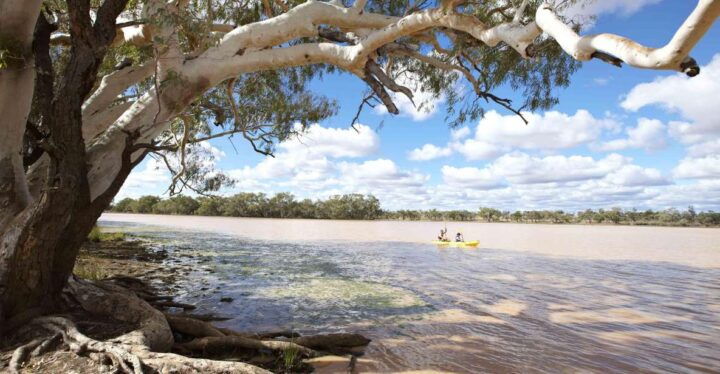 The Lake 4WD Station Tour - Experience Highlights