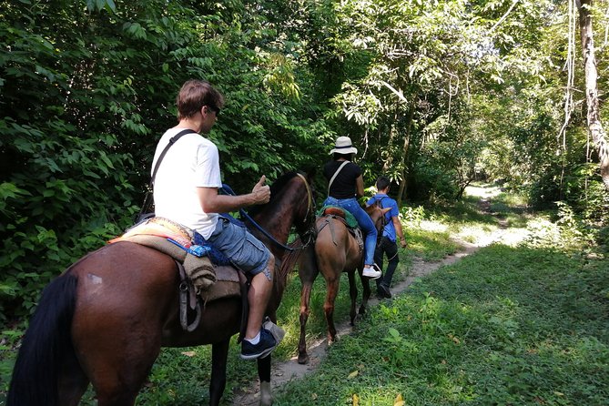 The Naranjos Beach Horseback Riding in Tayrona Park. - Customer Reviews