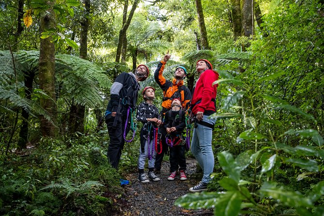 The Original Canopy Zipline Experience Private Tour From Auckland - Safety Measures