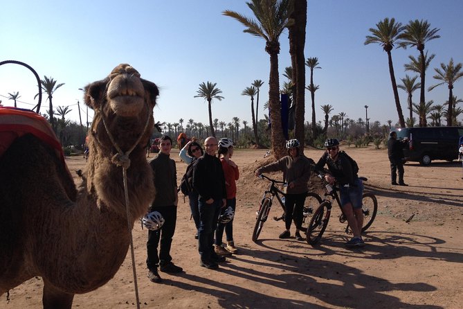 The Palmery Off-Road Bike Tour From Marrakech - Sightseeing and Wildlife Encounter