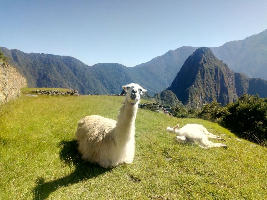 The Peru of the Andes - Arequipa: The White City Experience