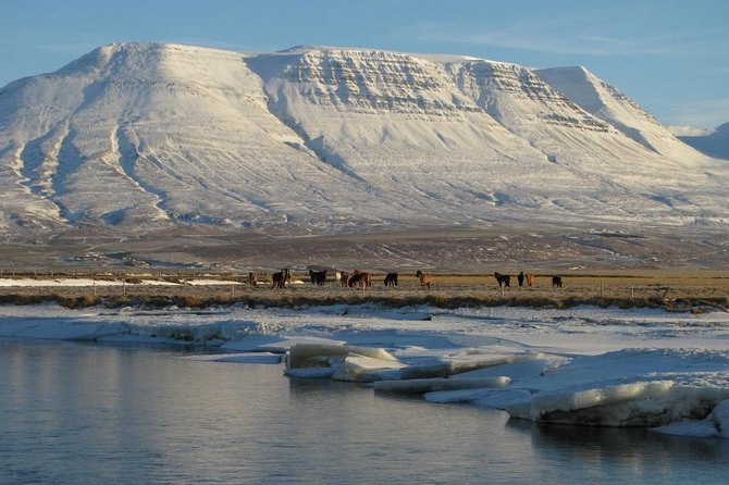 The Viking North Iceland Horse Riding in Winter Experience - Inclusions