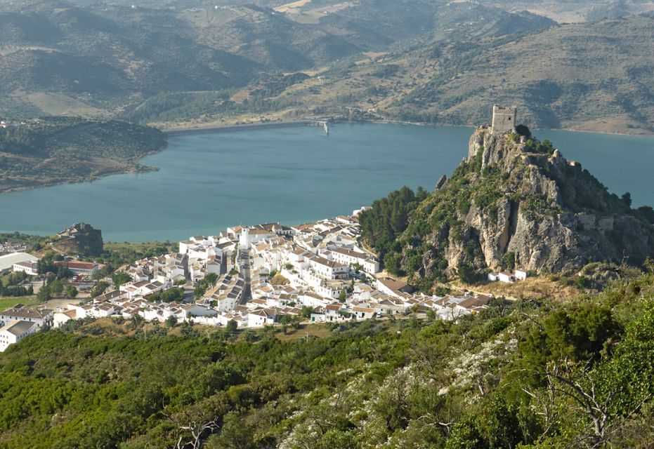 The White Towns of Andalusia: Private Day Trip From Cádiz - Experience Highlights