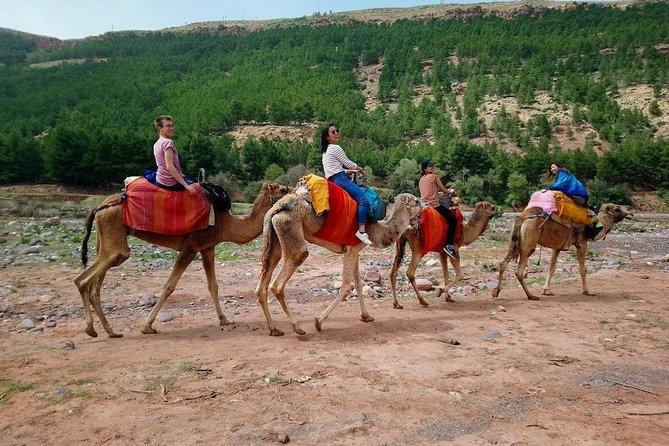 Three Valleys & Waterfalls & Atlas Mountains - Camel Ride Day Trip Marrakech - Scenic Three Valleys Exploration