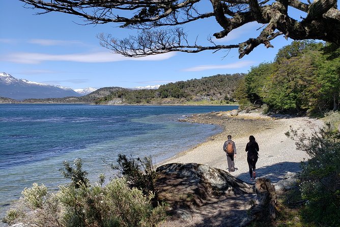 Tierra Del Fuego National Park Private Tour - Transportation Details