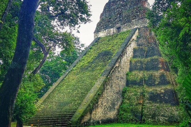 Tikal Day Tour From San Ignacio Belize - Operator Information