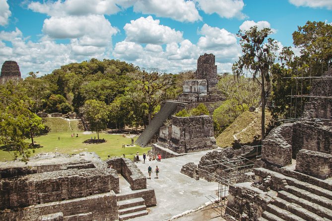 Tikal Tour From Antigua - Visitor Feedback and Host Response