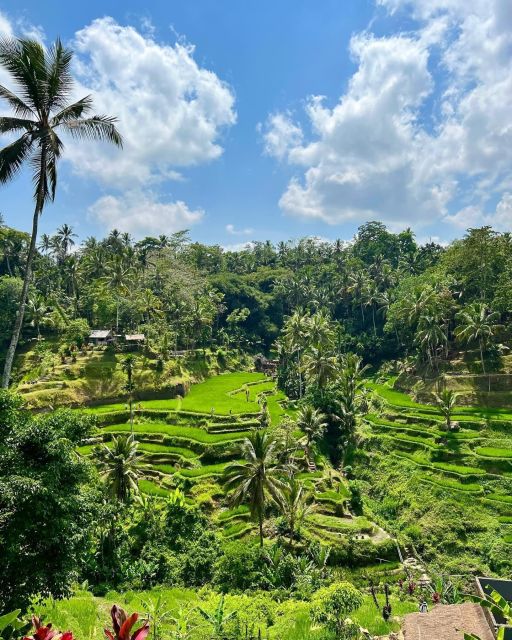 Tirta Empul Timple,Waterfall and Explore Rice Terrace - Exploring Waterfalls in Bali