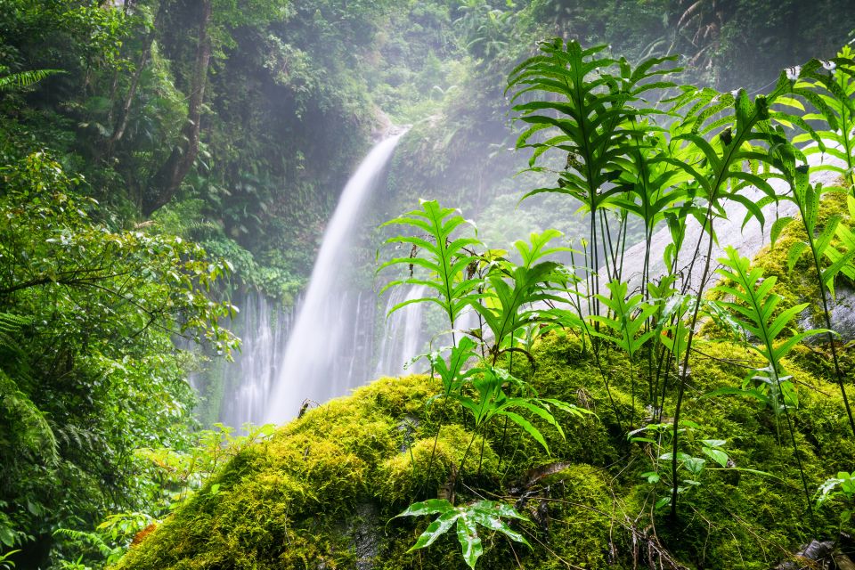 Tiu Kelep and Sendang Gile Waterfall Trekking Tour - Experience Highlights