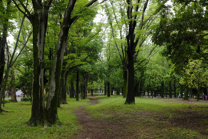 Tokyo Hikarigaoka Park Photo Shooting - Best Time to Visit