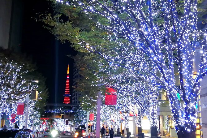 Tokyo Winter Illumination Tour - Cancellation Policy