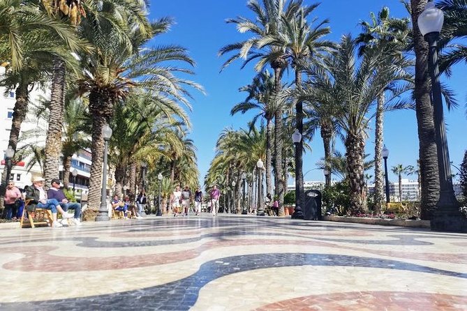 Total Alicante Walking Tour, Tapas and Wine Tasting - Wine Tasting Experience Details
