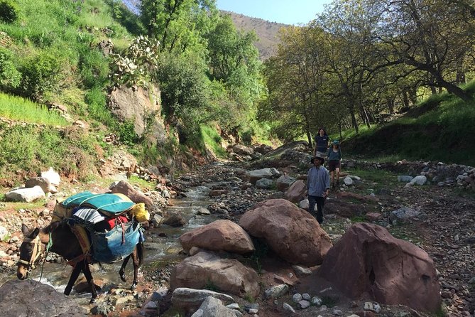 Toubkal Ascent in Two Days, Private Trip - Inclusions and Logistics