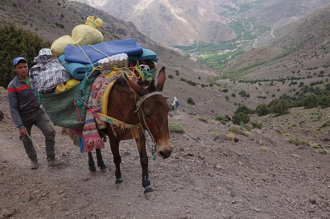 Toubkal Ascent Trek - Atlas Mountains - 2 Days (Private Trek) - Accommodation Details