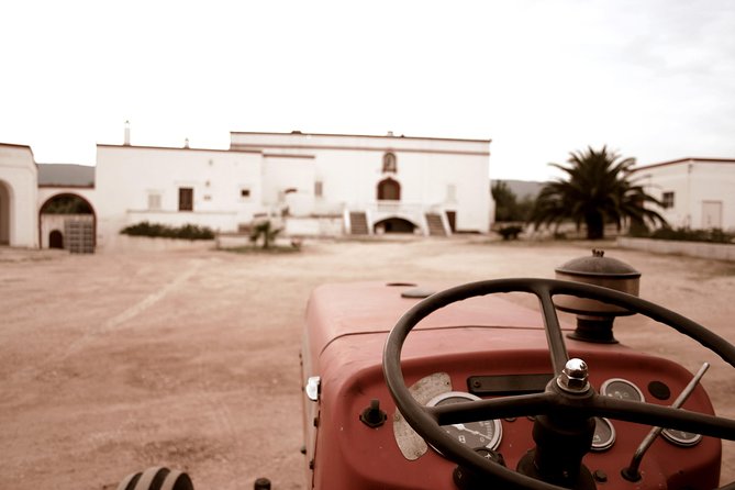 Tour and Extra Virgin Olive Oil Tasting in a Farmhouse, Small Group - Cancellation Policy Details