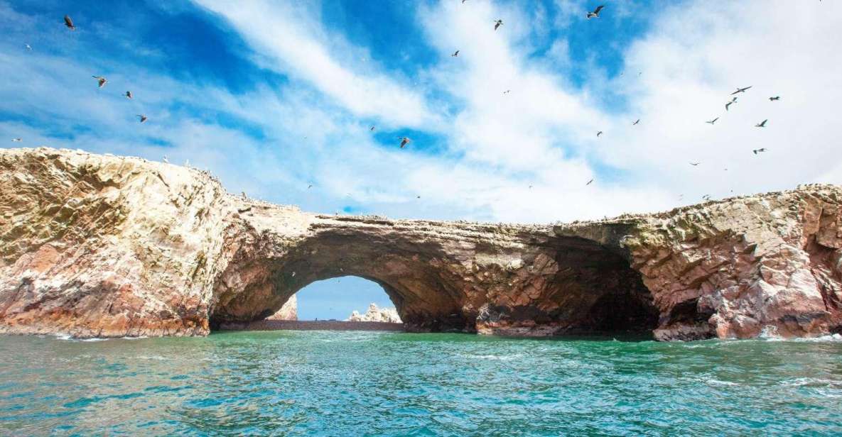 Tour: Ballestas Islands and the Paracas National Reserve - Experience