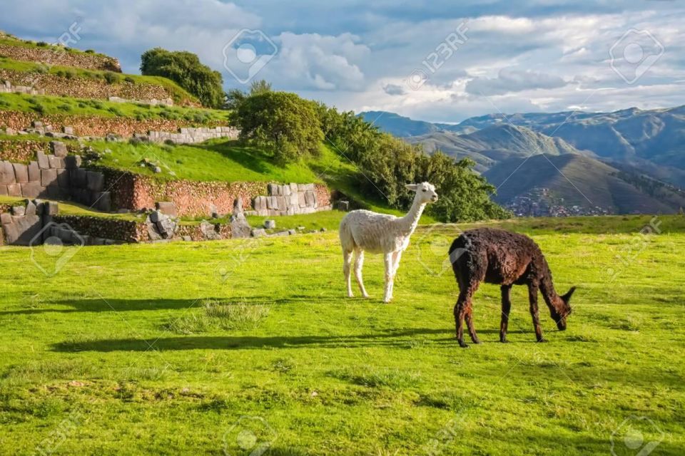 Tour Cusco 7Days 6nights Machupicchu Qeswachaka Bridge - Exciting Activities and Experiences