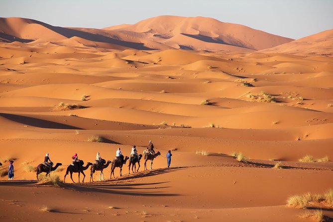 Tour From Marrakech to the Desert 4 Days - Accommodation and Meals Included