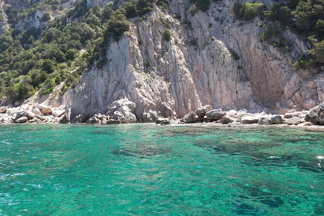 Tour in Rubber Dinghy and Snorkeling in the Protected Marine Area of Tavolara - Customer Satisfaction