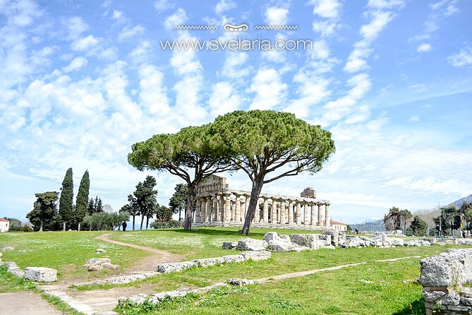 Tour in the Ruins of Paestum With an Archaeologist - Archaeological Expertise