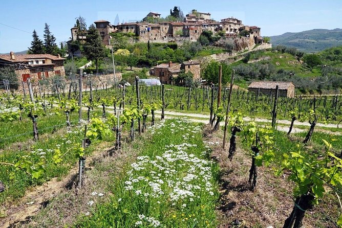 Tour of Chianti for Small Groups Departing From Florence or Surroundings - Inclusions and Services