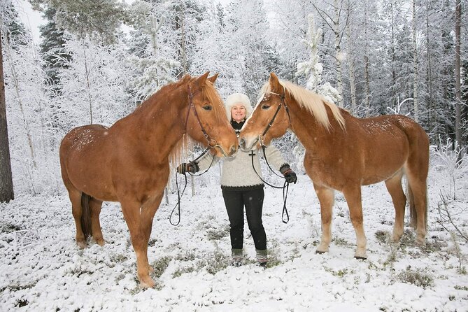 Tour to Aurora Horses Farm With Charming Finnhorses - What to Expect