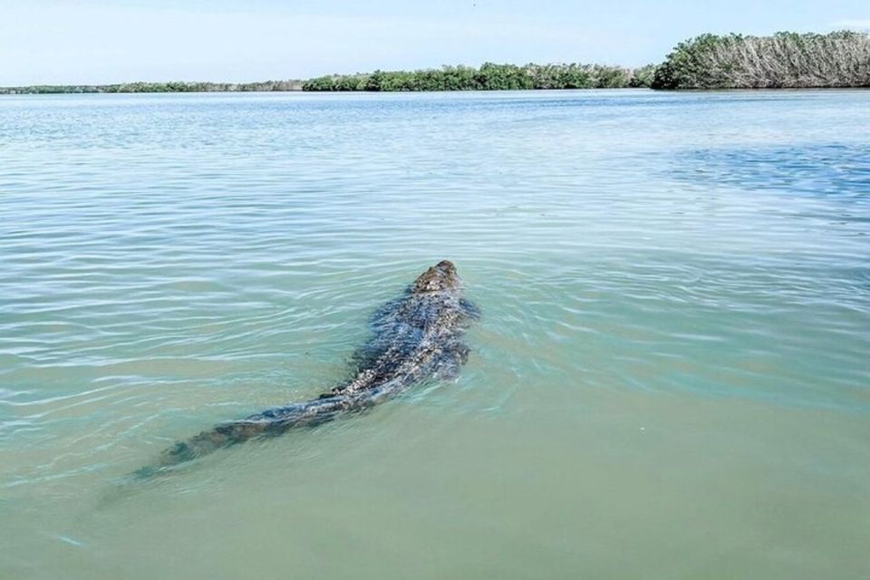 Tour to Las Coloradas and Rio Lagartos From Merida - Tour Experience